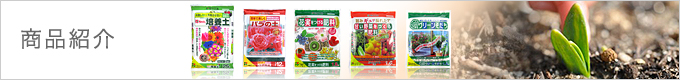 商品紹介