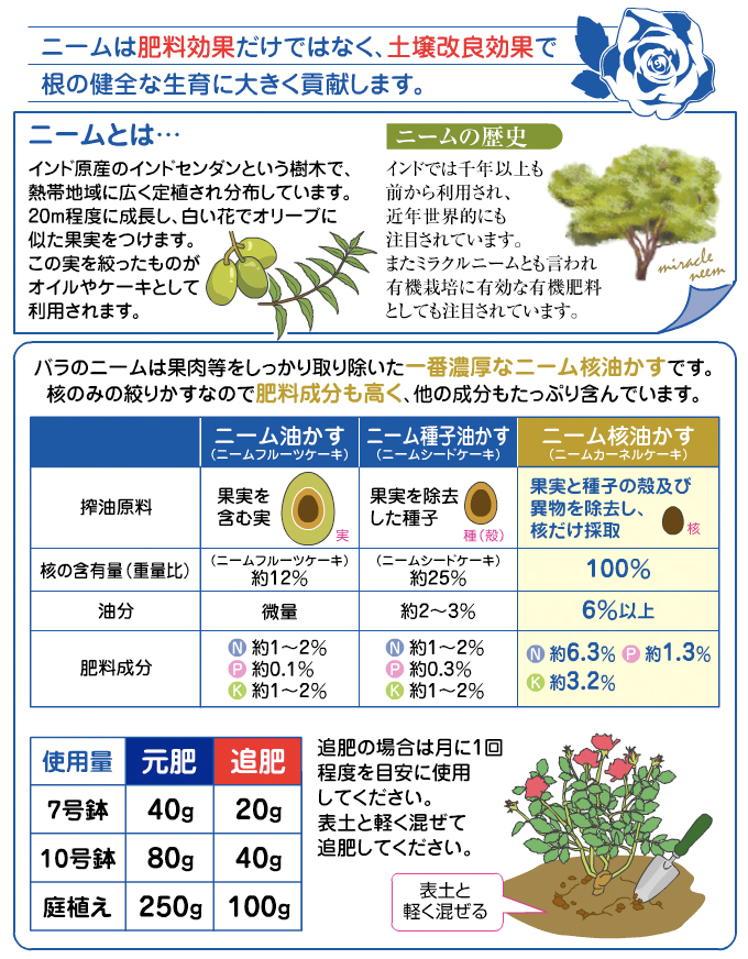 バラ園ニーム 花ごころの商品情報 花ごころ