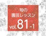 旬の園芸レッスンvol.81「バラの新時代〜ロサオリエンティス プログレッシオ」を公開しました