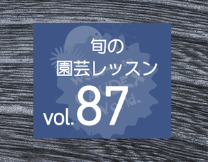 旬の園芸レッスンvol.87「塊根植物」の沼へ、ようこそ!!