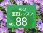 旬の園芸レッスンvol.88　もりもり咲かせる、パンジー・ビオラ