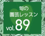 旬の園芸レッスンvol.89 人も、植物も、のびのびと 「インドアプランツと暮らす。」