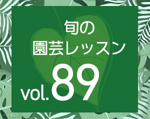 旬の園芸レッスンvol.89　人も、植物も、のびのびと 「インドアプラン...