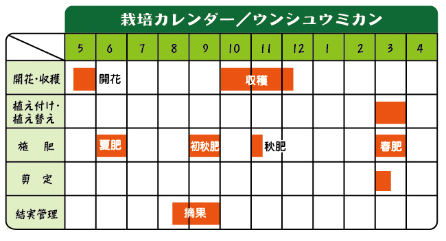 栽培カレンダー／ウンシュウミカン