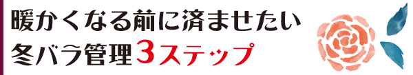 暖かくなる前に済ませたい。冬バラ管理3ステップ