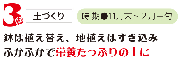 土つくり