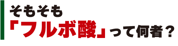 そもそも「フルボ酸」って何者？