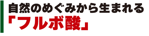 自然のめぐみから生まれる「フルボ酸」