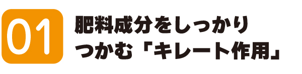 01 肥料成分をしっかりつかむ「キレート作用」