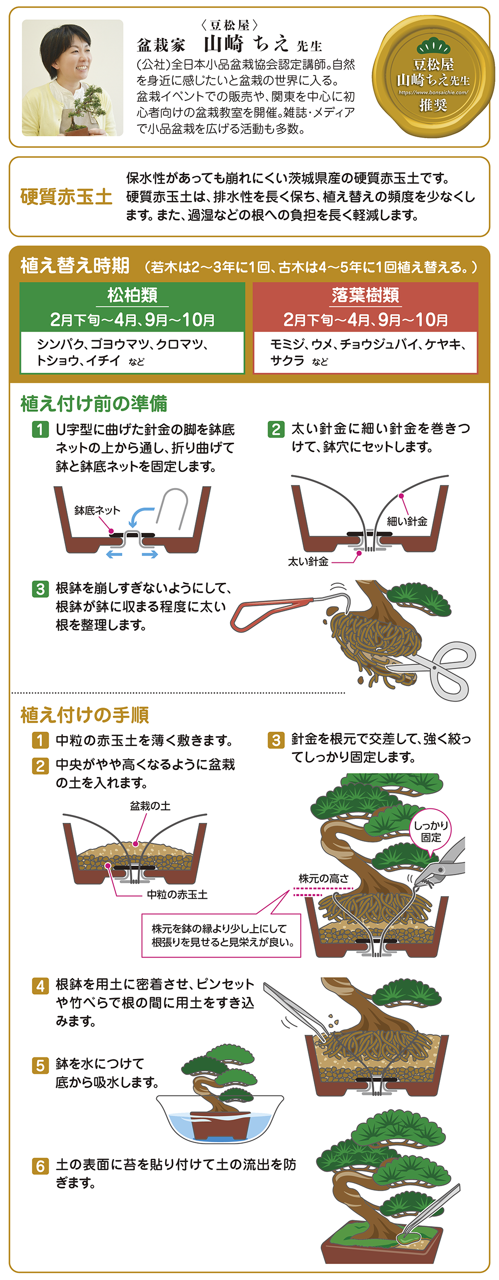 盆栽の土