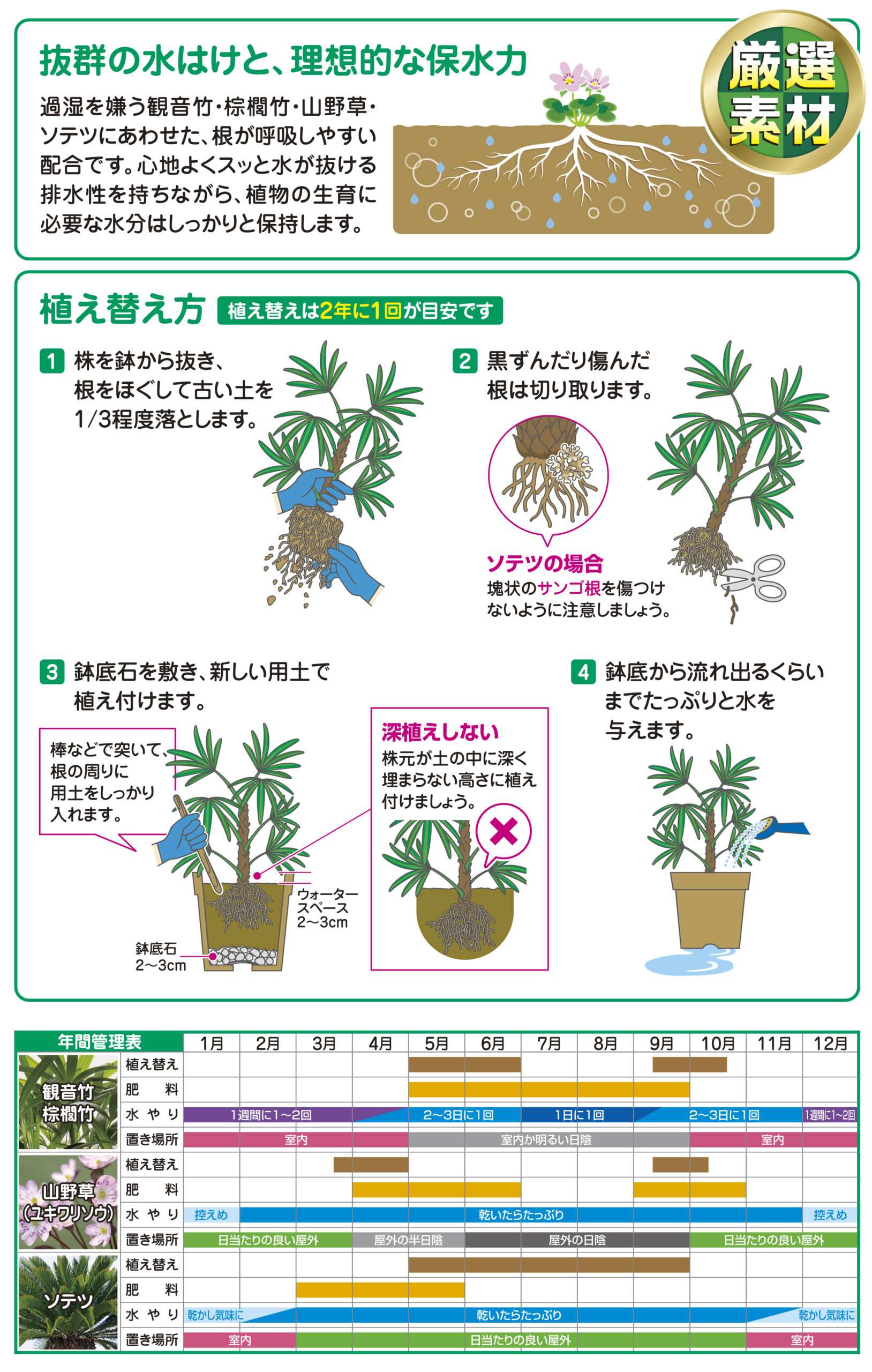 観音竹・山野草・ソテツの土