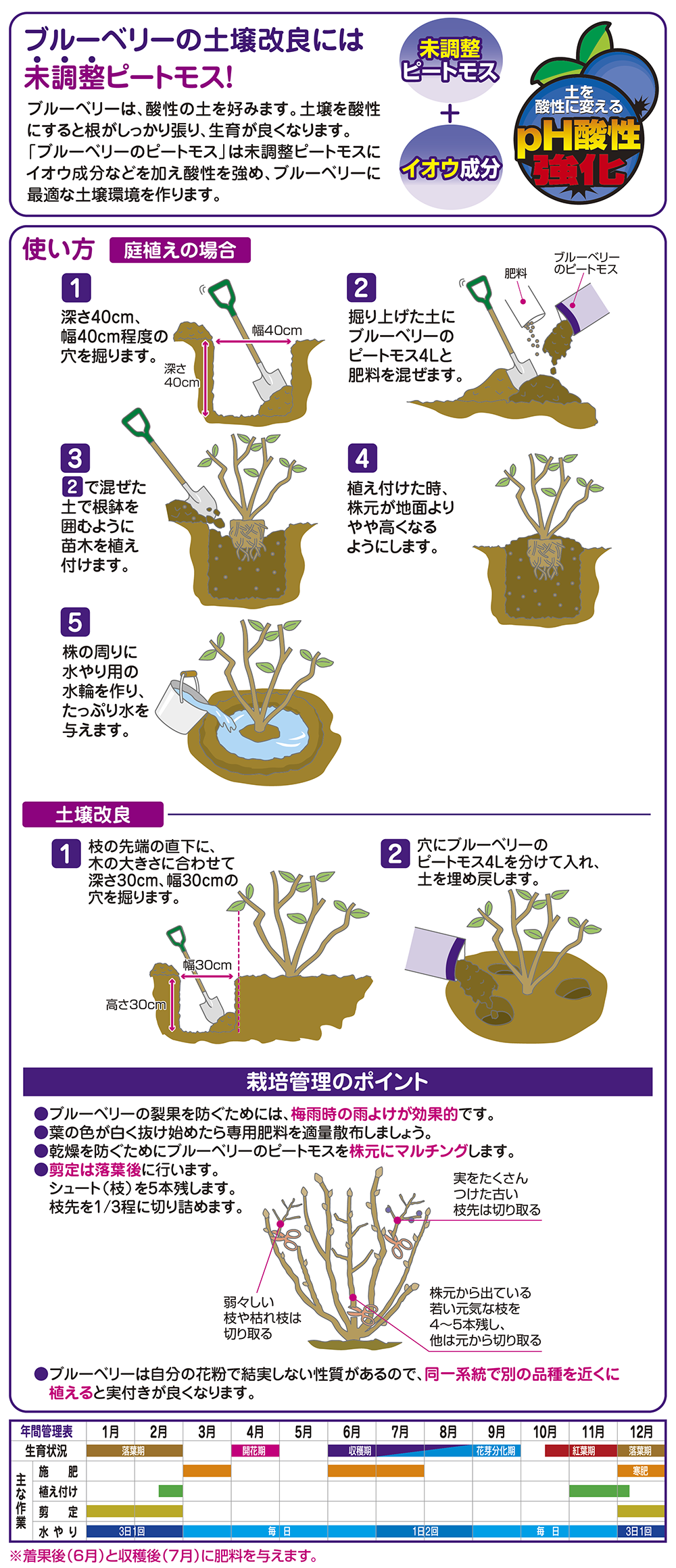 ブルーベリーのピートモス