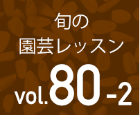 野菜づくりに ときめきを タネまき チャレンジ 花ごころメディア 花ごころ