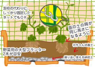 花ごころ園芸レシピ77　おもてなし武将隊×三英傑の野菜苗キュウリの植え付け