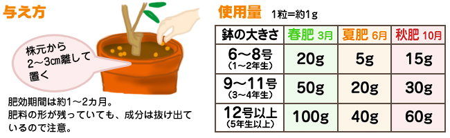 花ごころ　園芸レシピ74／ぎゅぎゅっとビタミンC『レモン・ミカン・柑橘の肥料』