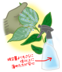 花ごころ　みんなの花咲ライフ　Vol.115　「液体肥料（液肥）葉面散布