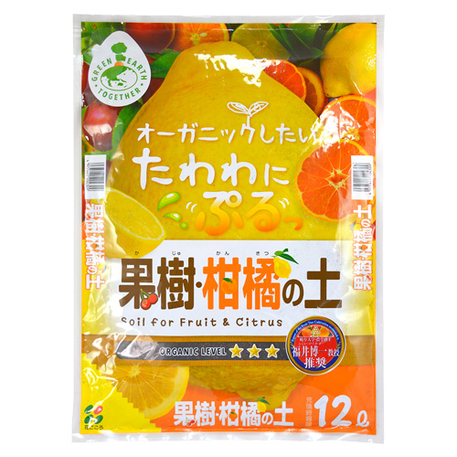 果樹柑橘の土
