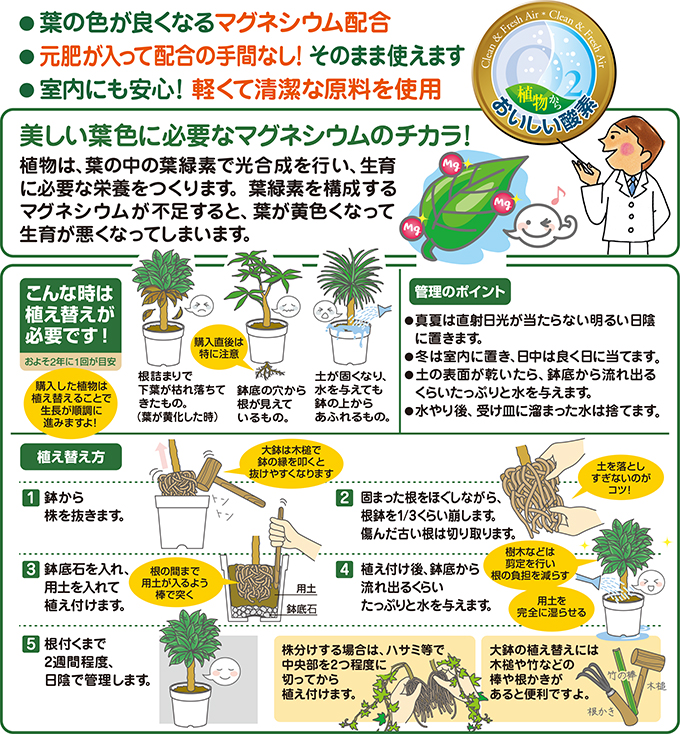 土 観葉 植物 の 観葉植物のカビ対策！土のカビの除去方法と予防のポイント