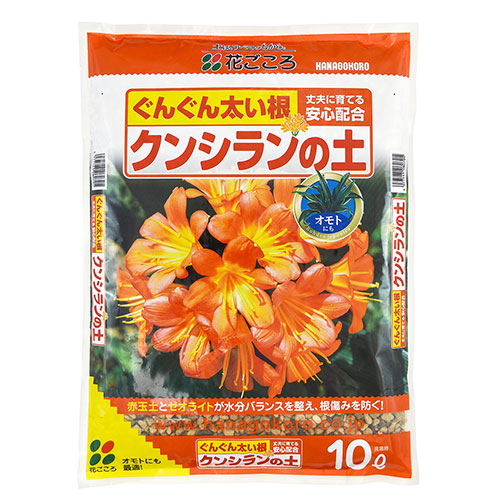 クンシランの土