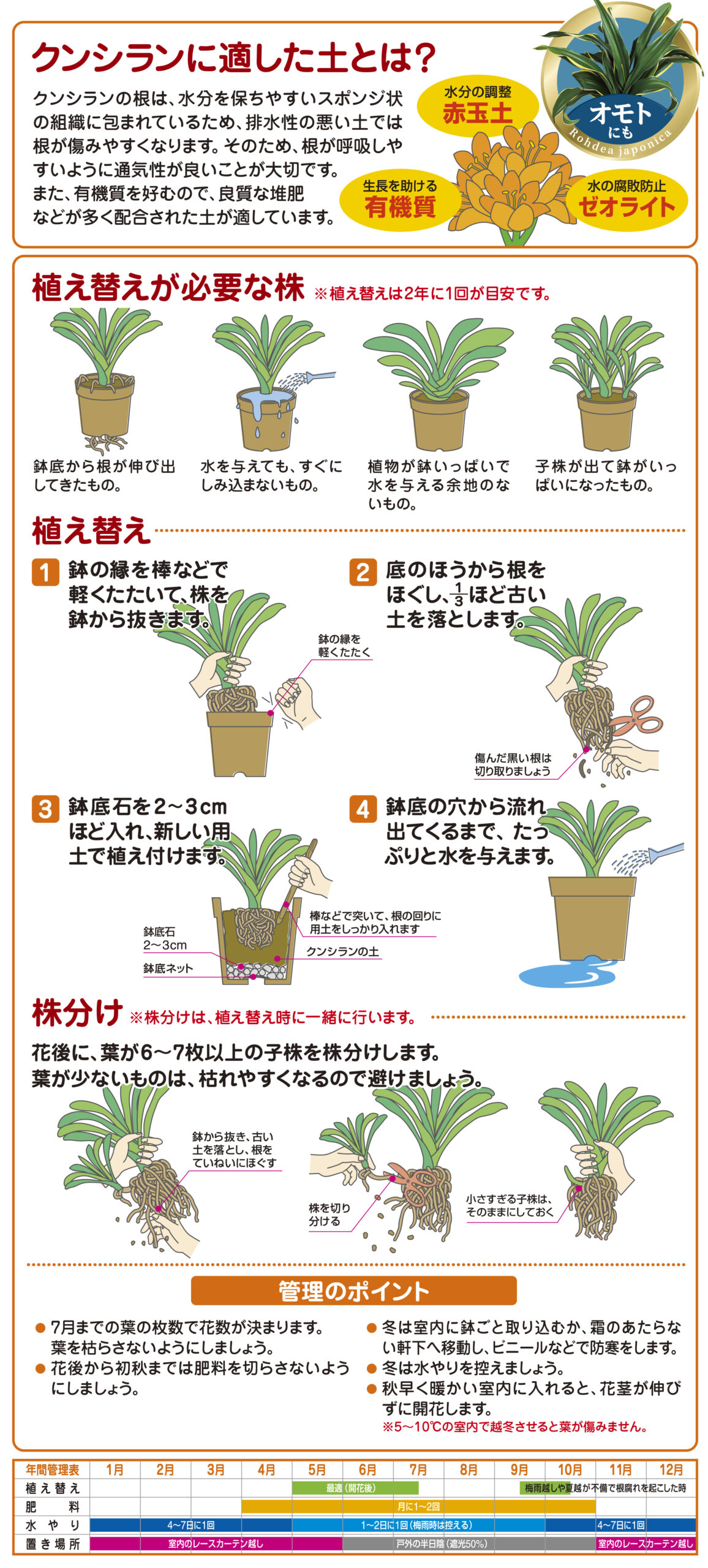 クンシランの土