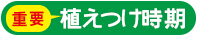 植え付け時期 