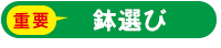 鉢選び