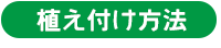 植え付け方法