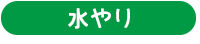 水やり