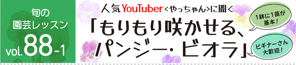 人気YouTuberに聞く「もりもり咲かせる、パンジー・ビオラ」