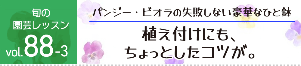 植え付けにも、 ちょっとしたコツが。