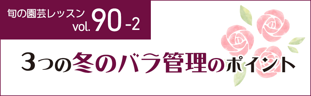 暖かくなる前に済ませたい。冬バラ管理３ステップ
