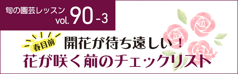 開花が待ち遠しい！花が咲く前のチェックリスト
