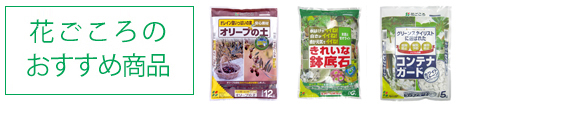 花ごころ園芸レシピ　vol.71　オリーブの肥料【花ごころのおすすめ商品】