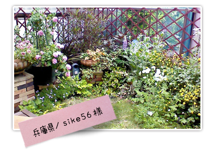 花ごころ　花咲ライフ128　憧れの海外ガーデン＆理想のお庭　お庭自慢