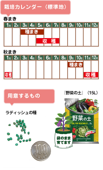 ラディッシュ　用意するもの　栽培カレンダー