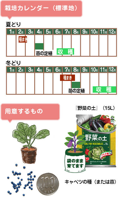 キャベツ　用意するもの　栽培カレンダー