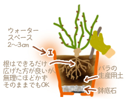 花ごころ園芸レシピ76　■鉢への植え付け方■　