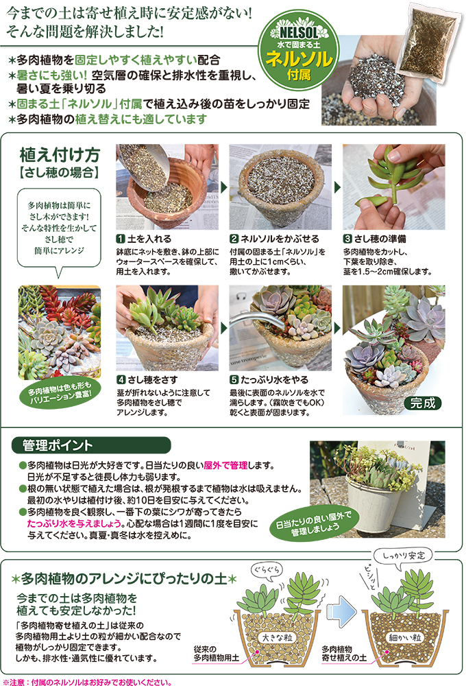 特注 maron_1214様 専用 多肉植物寄せ植え - フラワー/ガーデン