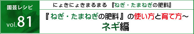 花ごころ　園芸レシピ81　「ねぎ・たまねぎの肥料」の使い方と育て方〜ネギ編〜